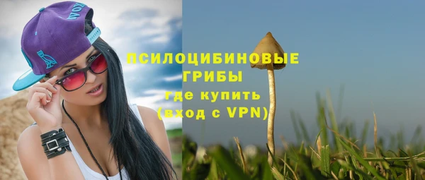 прущая мука Бородино