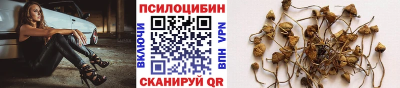 Псилоцибиновые грибы Magic Shrooms  Купить где  Советская Гавань 